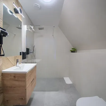 Aparthotel Mr Obrochta Tatra View & Sauna - 5 Min Do Goracy Potok I Termy Szaflary 3*